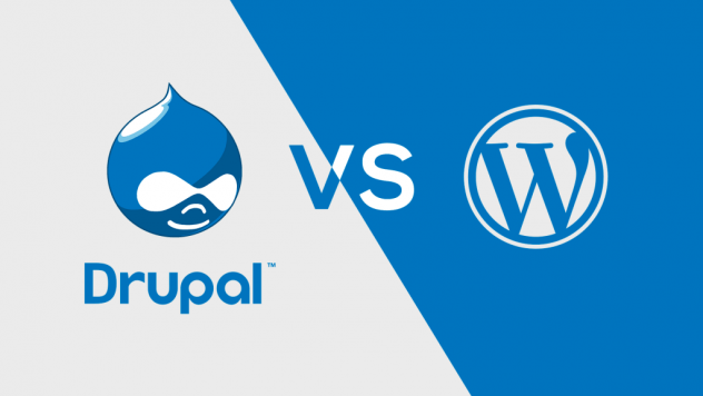 drupal developer wordpress developer india