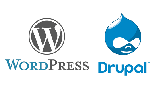 WordPress Drupal Website Design India